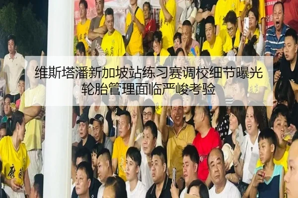 维斯塔潘新加坡站练习赛调校细节曝光 轮胎管理面临严峻考验